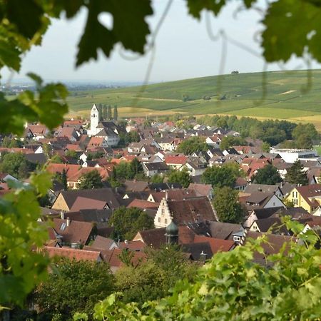 Ferienwohnung Schneckental Pfaffenweiler Ngoại thất bức ảnh