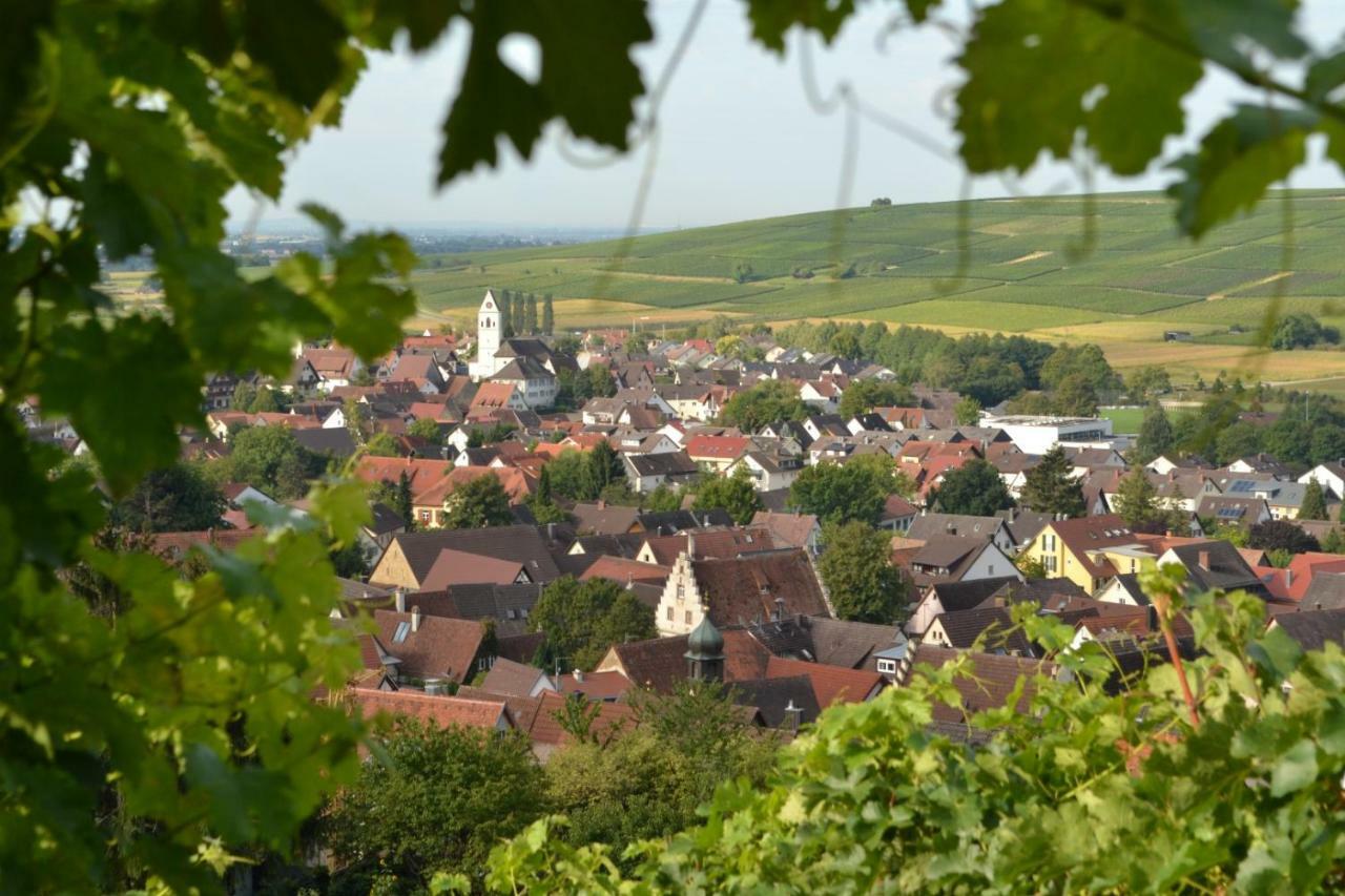 Ferienwohnung Schneckental Pfaffenweiler Ngoại thất bức ảnh